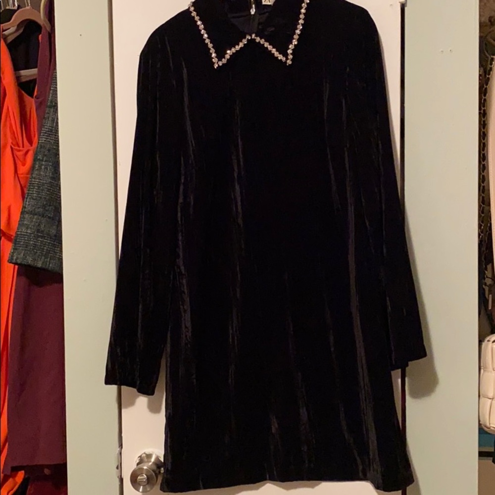 Velour Zara dress embellished collar